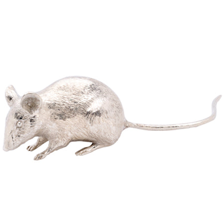 Arboreal Silver Mouse